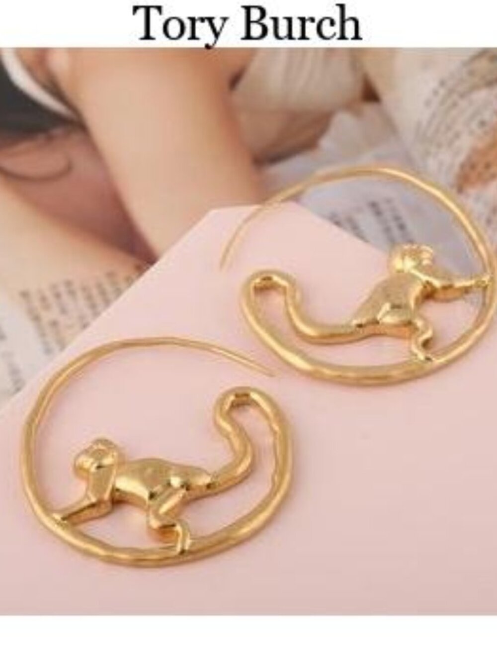 Hoop Earrings